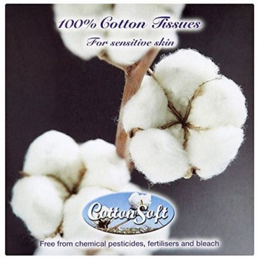 Cotton Soft Facial Tissue Cube x56